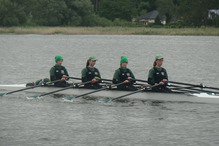 P1186646.JPG