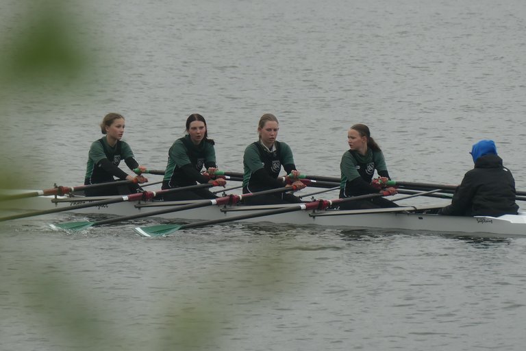 P1186653.JPG